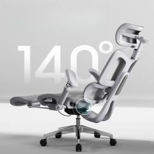 Ergonomic Office Chair